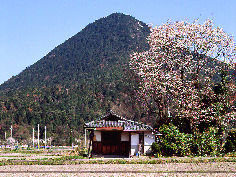 写真拡大