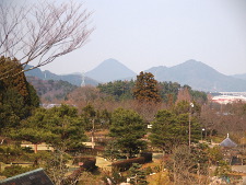 写真拡大