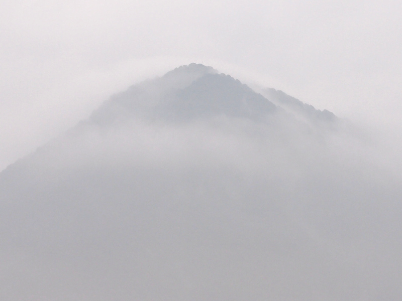写真拡大