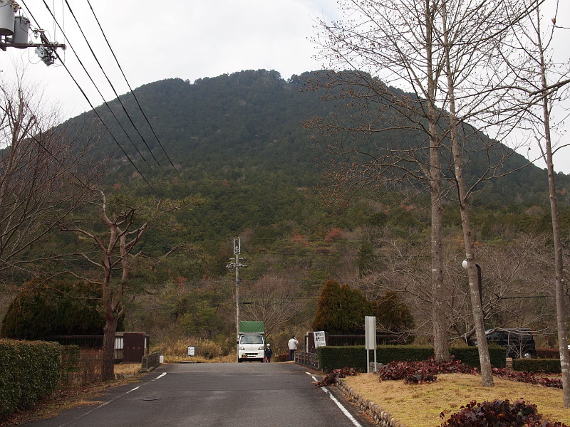 写真拡大
