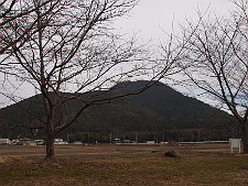 写真拡大