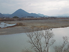 写真拡大
