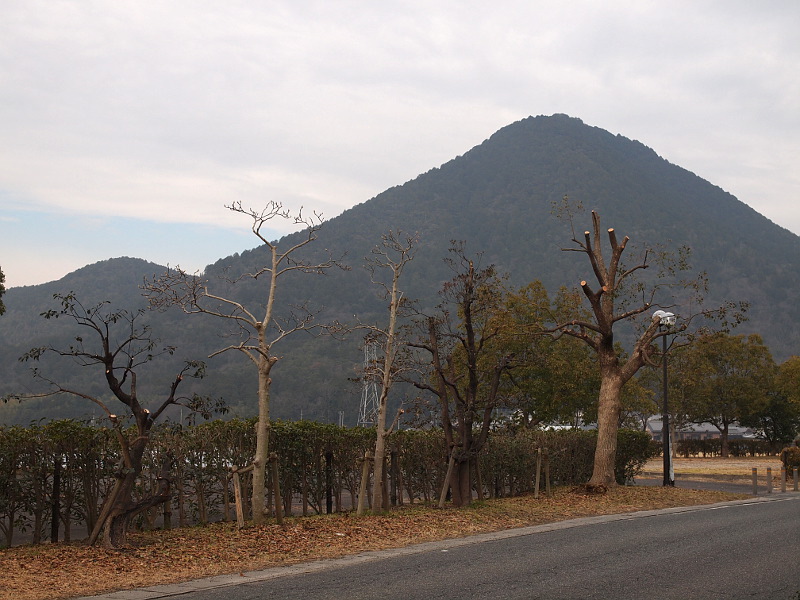 写真拡大