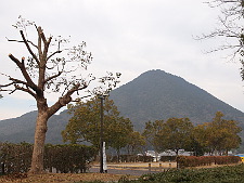 写真拡大