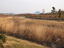写真拡大