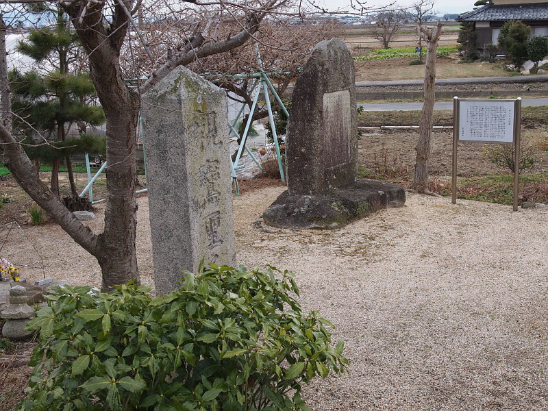 写真拡大