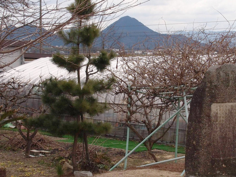 写真拡大