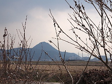 写真拡大
