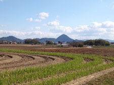写真拡大