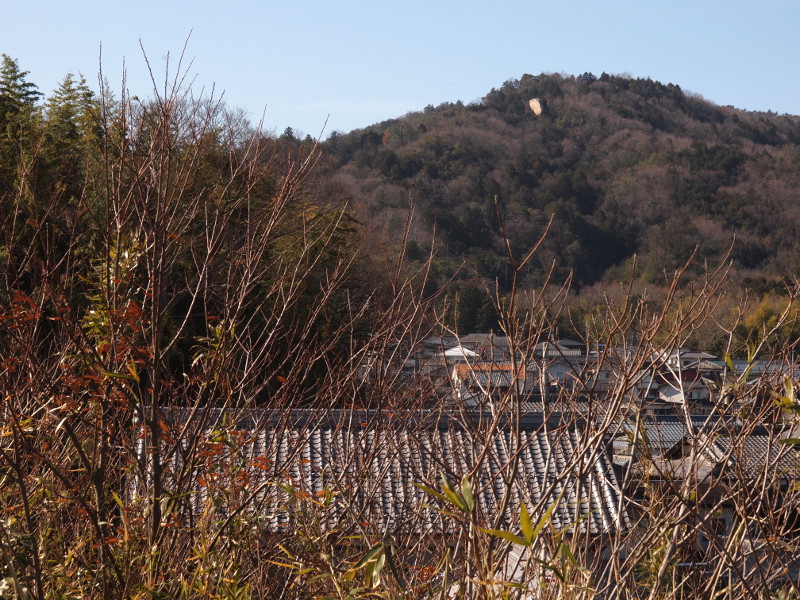写真拡大