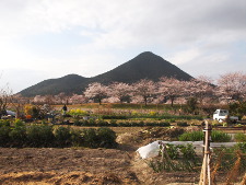 写真拡大