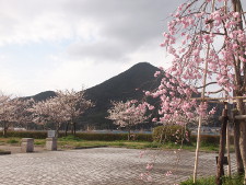 写真拡大