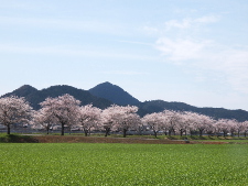 写真拡大