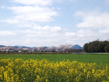 写真拡大