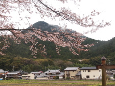 写真拡大