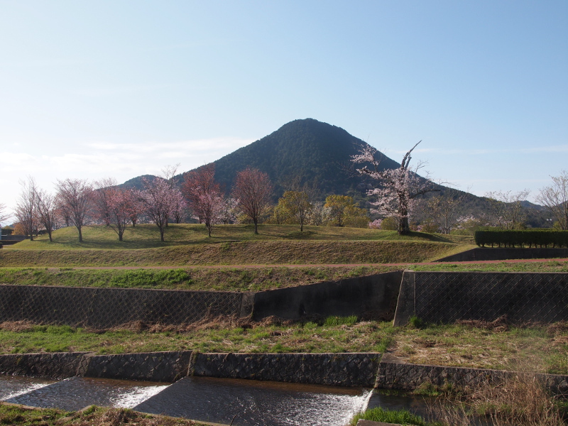 写真拡大