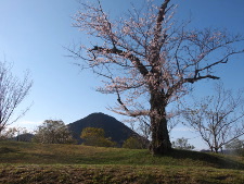 写真拡大