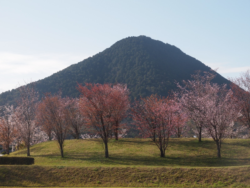 写真拡大