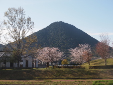 写真拡大