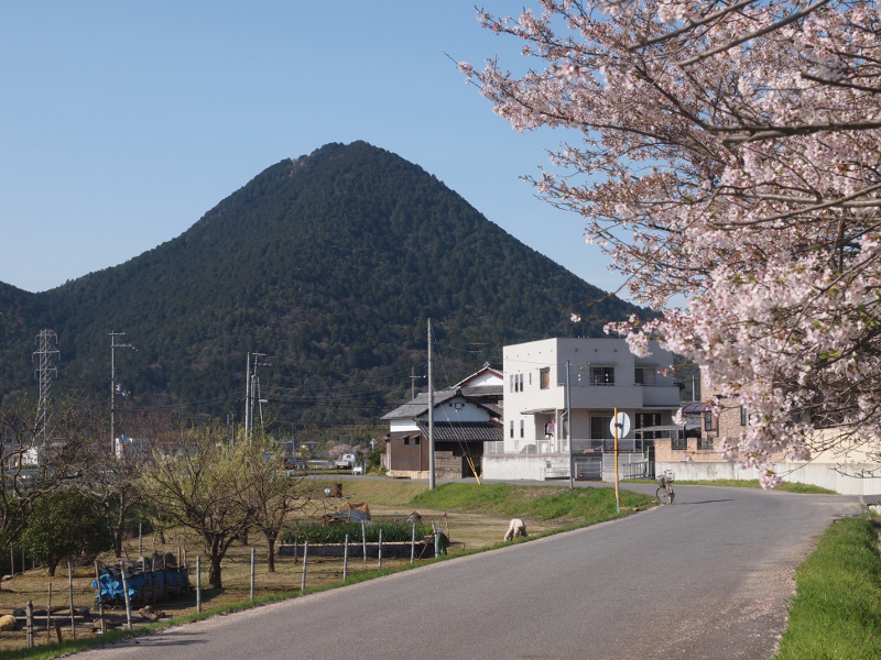 写真拡大