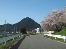 写真拡大
