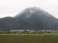 写真拡大