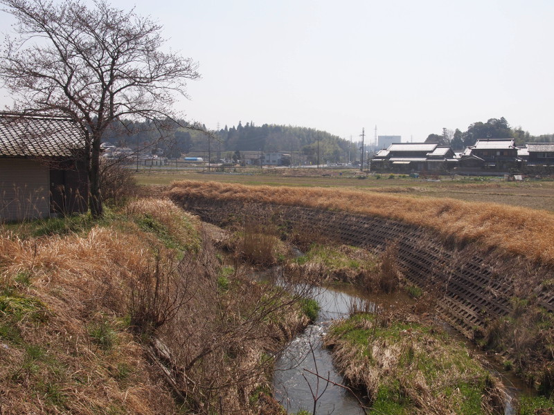 写真拡大