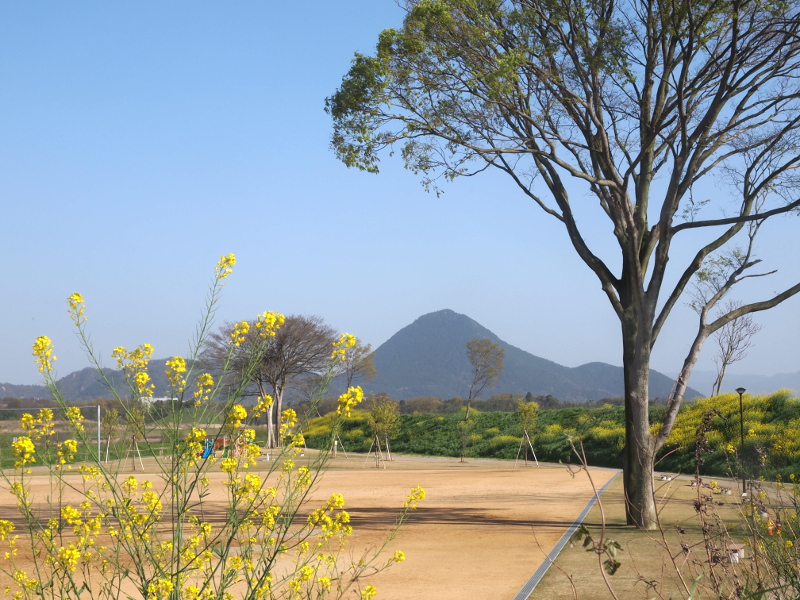 写真拡大