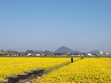 写真拡大