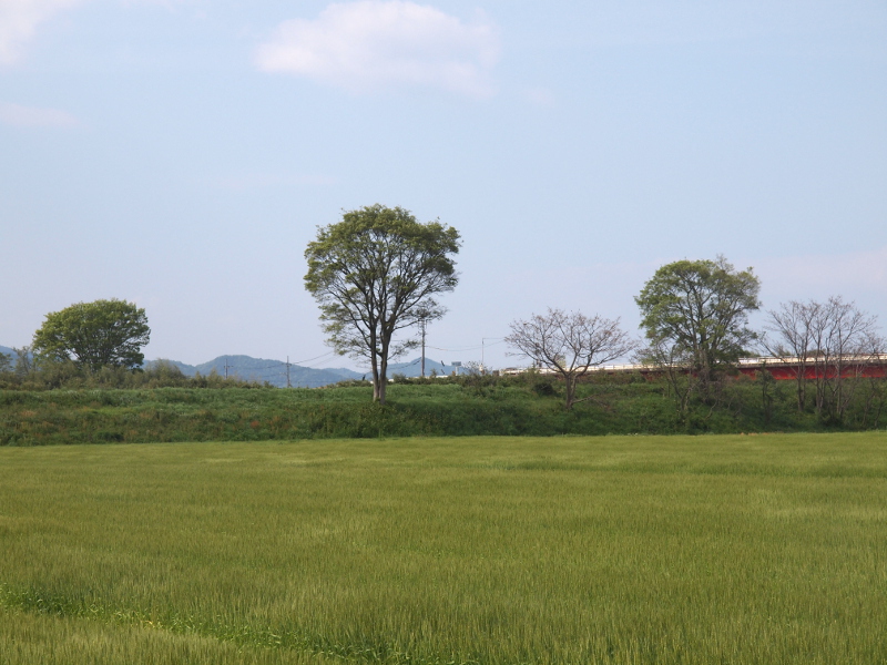 写真拡大