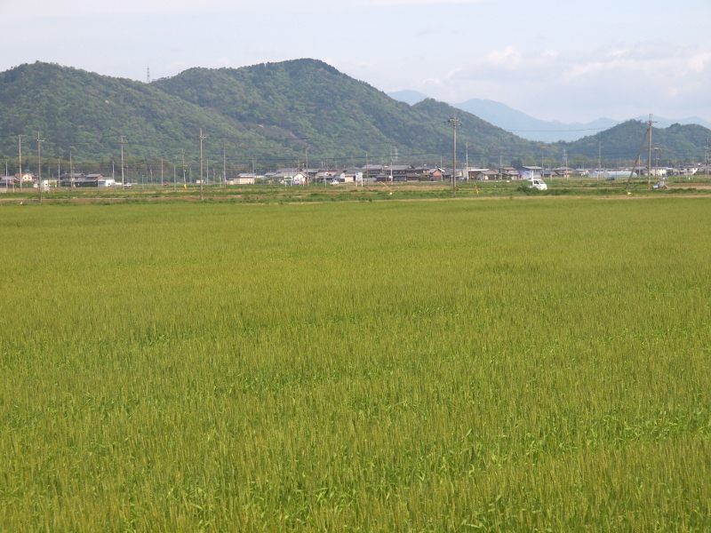 写真拡大