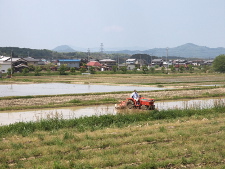写真拡大