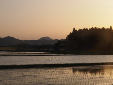 写真拡大