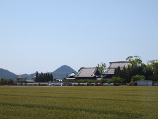 写真拡大