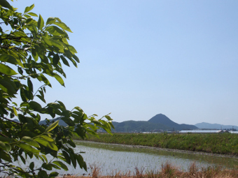 写真拡大