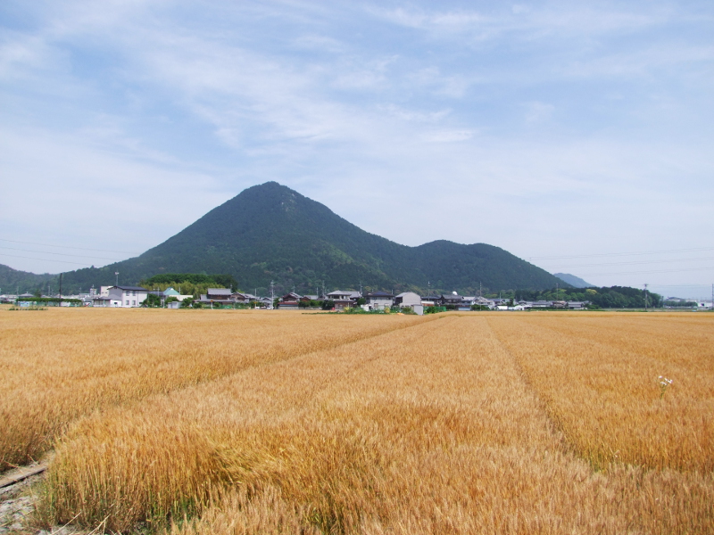 写真拡大