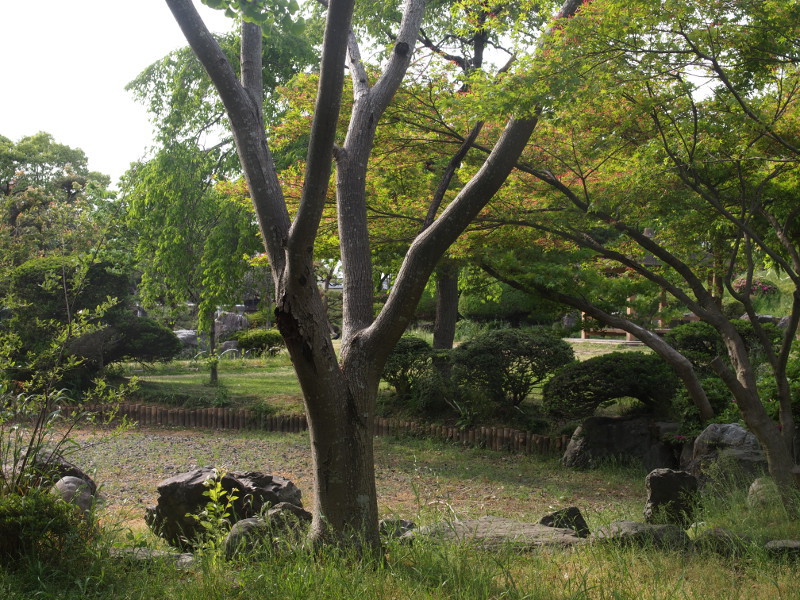 写真拡大