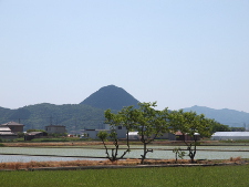 写真拡大