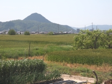 写真拡大