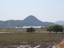 写真拡大