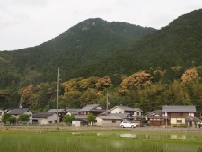 写真拡大
