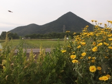 写真拡大