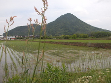 写真拡大