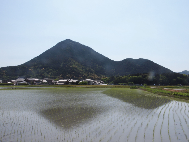 写真拡大