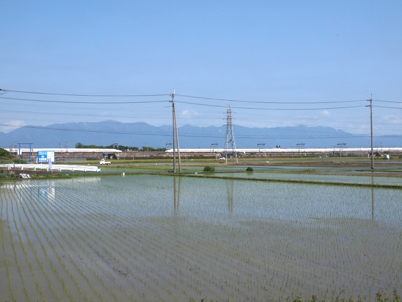 写真拡大