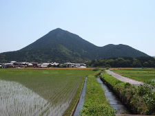 写真拡大
