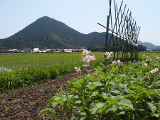 写真拡大