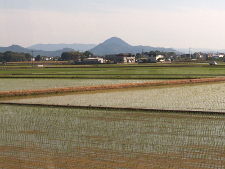 写真拡大