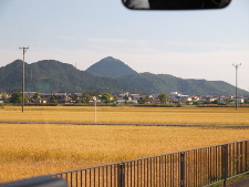 写真拡大