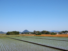 写真拡大